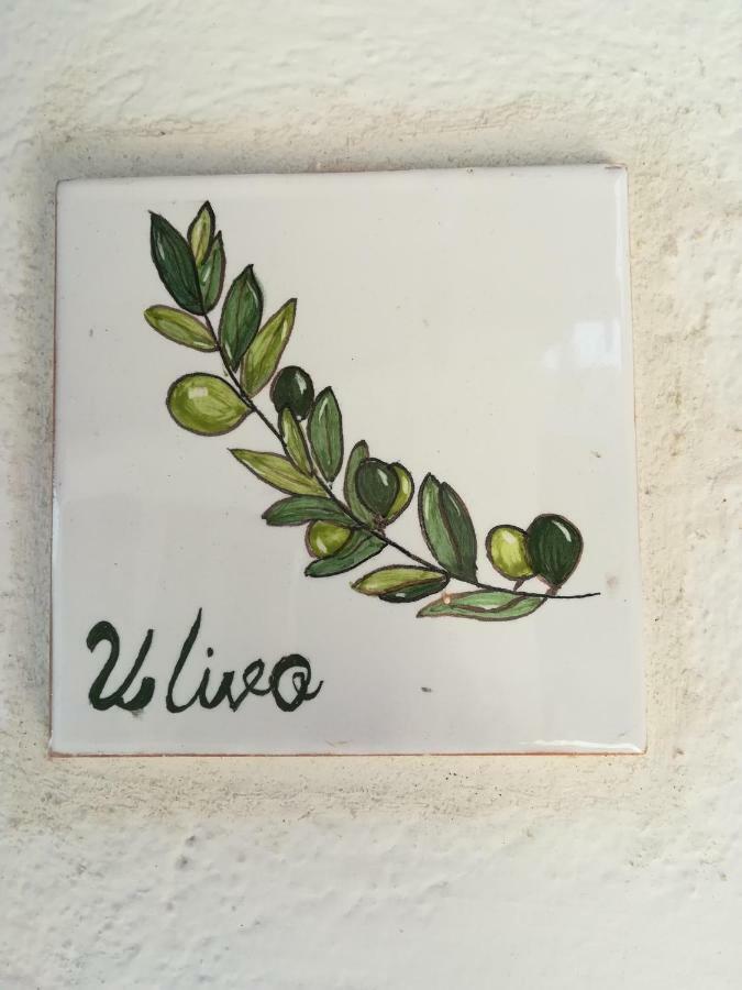 Ulivo Apartment Quartu Sant'Elena Exterior photo